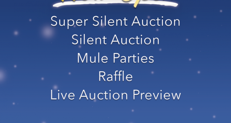 GHN'25 Auction is NOW OPEN!